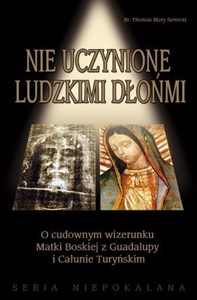 Obrazek Nie uczynione ludzkimi dłońmi