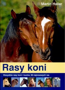 Picture of Rasy koni