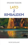 Lato z Rim... - Sylvain Tesson -  Polish Bookstore 