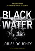 Polska książka : Black Wate... - Louise Doughty