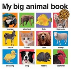 Picture of My Big Animal Book