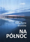 Na północ - Katarzyna Brzóska -  books in polish 