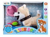 Pies inter... - Ksiegarnia w UK