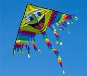 Obrazek Latawiec Mrak 03