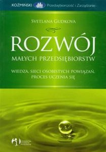 Picture of Rozwój małych przedsiębiorstw Wiedza, sieci osobistych powiązań, proces uczenia się