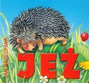 Zobacz : Jeż - Jan Brzechwa