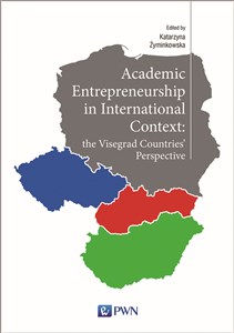 Obrazek Academic Entrepreneurship in International Context: the Visegrad Countries' Perspective