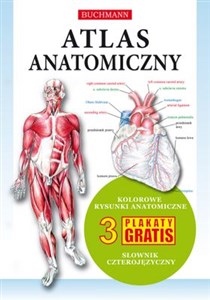 Obrazek Atlas anatomiczny