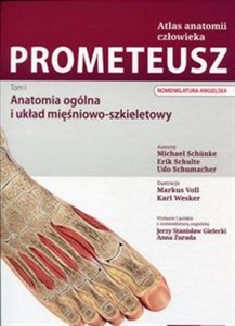 Picture of Prometeusz Atlas anatomii człowieka Tom 1 Anatomia ogólna i układ mięśniowo-szkieletowy. Nomenklatura angielska