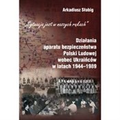 Działania ... - Arkadiusz Słabig -  foreign books in polish 