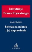 Szkoda na ... - Maciej Kaliński -  foreign books in polish 