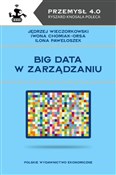Zobacz : Big data w... - Jędrzej Wieczorkowski, Iwona Chomiak-Orsa, Ilona Pawełoszek