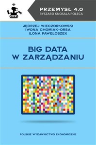 Picture of Big data w zarządzaniu