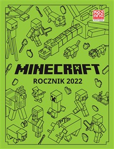 Picture of Minecraft Rocznik 2022