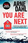Zobacz : You Are Ne... - Arne Dahl