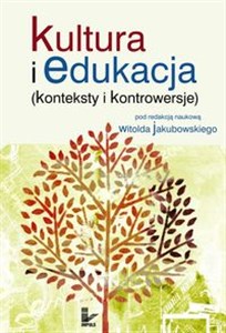 Picture of Kultura i edukacja (konteksty i kontrowersje)