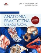 Zobacz : Anatomia p... - Jarosław Domaradzki, Andrzej Zaleski