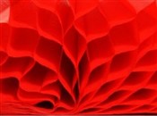 Zobacz : Bibuła prz...