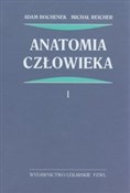 polish book : Anatomia c... - Adam Bochenek, Michał Reicher
