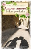 Amore, Amo... - Maria Carmen Morese -  books from Poland