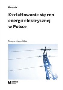Obrazek Kształtowanie się cen energii elektrycznej w Polsce