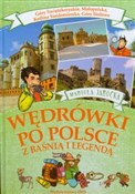 Polska książka : Wędrówki p... - Mariola Jarocka