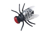 Mucha 1cm ... -  Polish Bookstore 