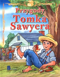 Obrazek Przygody Tomka Sawyera