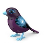 Polska książka : DigiBirds ...