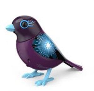 Picture of DigiBirds 2 z ramką Fireworks