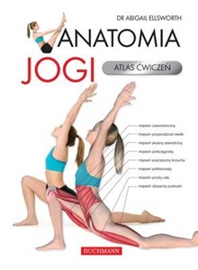Picture of Anatomia jogi