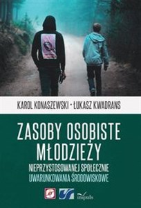 Obrazek Zasoby osobiste młodzieży nieprzystosowanej społecznie Uwarunkowania środowiskowe