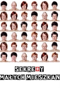 Picture of Sekrety małych mieszkań