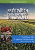 polish book : Zbiór zada... - Małgorzata Balcerowska-Ogrodowicz, Agnieszka Ryszewska-Urbańczyk
