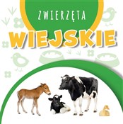 Wstęgi kar... - Opracowanie Zbiorowe -  Książka z wysyłką do UK
