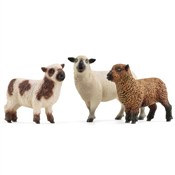 Owczy przy... - Ksiegarnia w UK