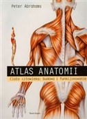 Atlas anat... - Peter Abrahams -  Polish Bookstore 