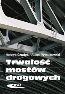 Obrazek Trwałość mostów drogowych