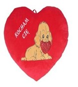 Serce Koch... -  books in polish 