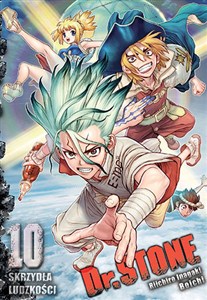 Picture of Dr Stone. Tom 10