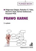 Prawo karn... - Małgorzata Gałązka, Radosław G. Hypś Sławomir Hałas, Damian Szeleszczuk -  Polish Bookstore 