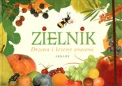 Zielnik Dr... - Małgorzata Garbarczyk, Henryk Garbarczyk -  books in polish 