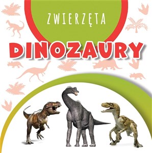 Obrazek Wstęgi kartonowe. Dinozaury