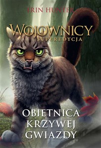 Picture of Wojownicy Superedycja Obietnica Krzywej Gwiazdy