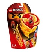 Zobacz : Lego Ninja...