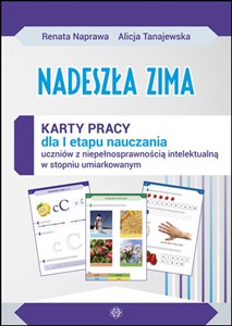 Picture of Nadeszła zima Karty pracy sztywna teczka dla I etapu nauczania uczniów z niepełnosprawnością intelektualną w stopniu umiarkowanym