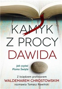 Picture of Kamyk z procy Dawida Jak czytać Pismo Św.