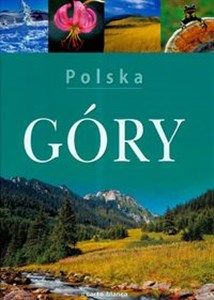 Picture of Polska Góry