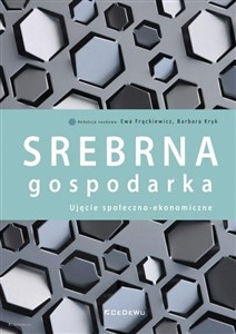 Obrazek Srebrna gospodarka Ujęcie społeczno-ekonomiczne