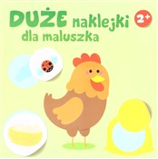 polish book : Duże nakle... - Opracowanie Zbiorowe